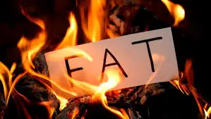 vet verbranden met intermittent fasting
