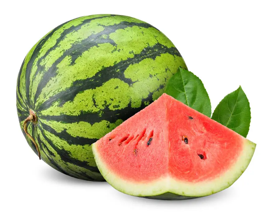 watermeloen tegen vermoeidheid