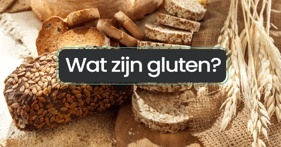 Wat Zijn Gluten? - Human Nature