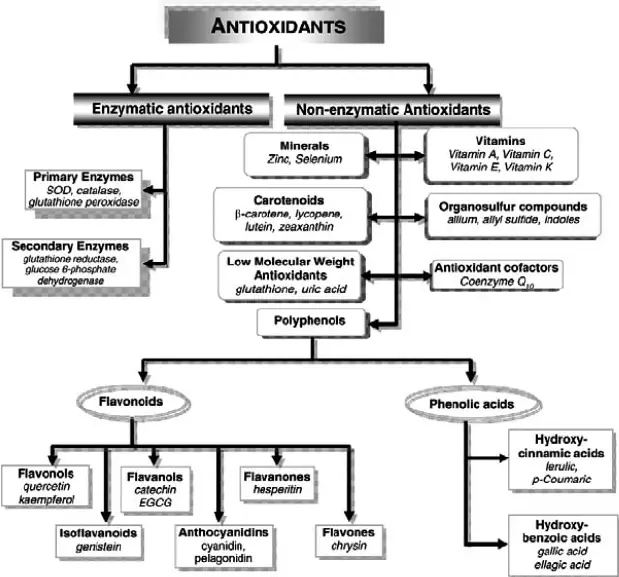 classificatie antioxidanten