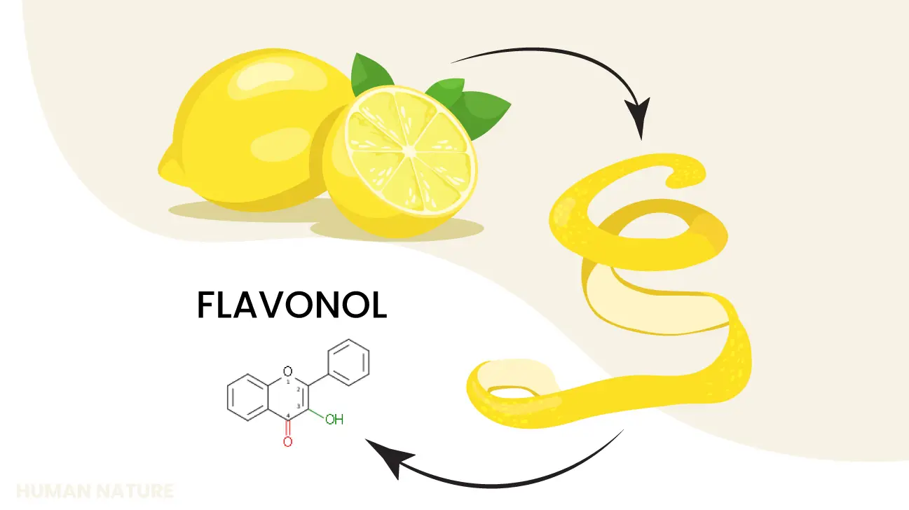 flavonol uit citroenschil