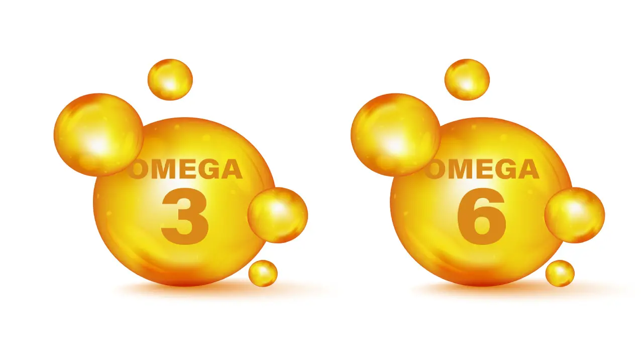 omega 3 en omega 6