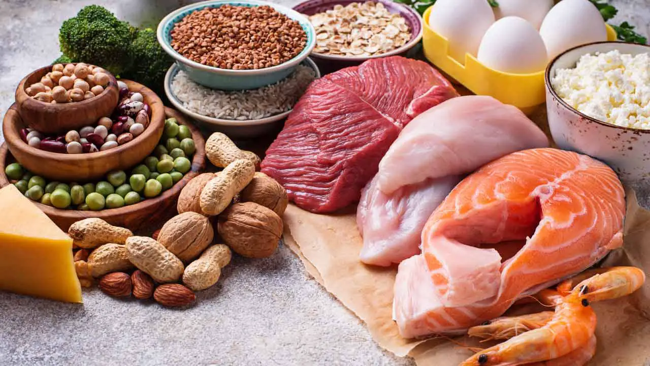proteine dieet eiwitten