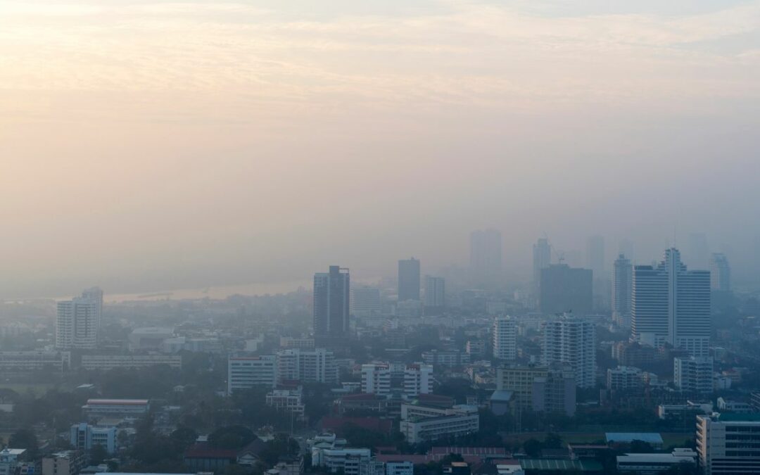 Is Luchtvervuiling Schadelijk? 8 Schadelijke Gevolgen