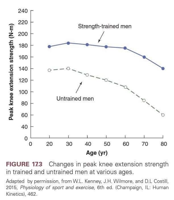 grafiek kracht tussen getrainde en ongetrainde personen op verschillende leeftijden